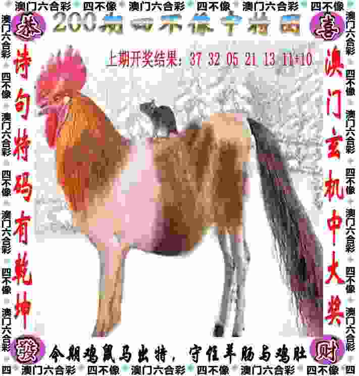 >2005天天开彩免费资料